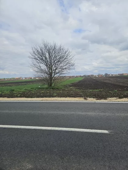 Carski Put | 4zida.rs