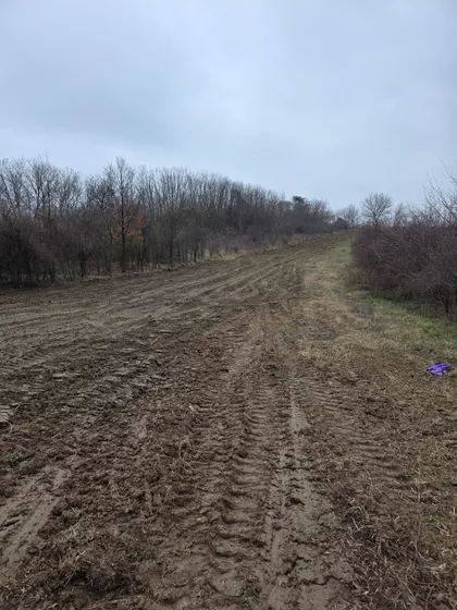 Save Kovačevića | 4zida.rs