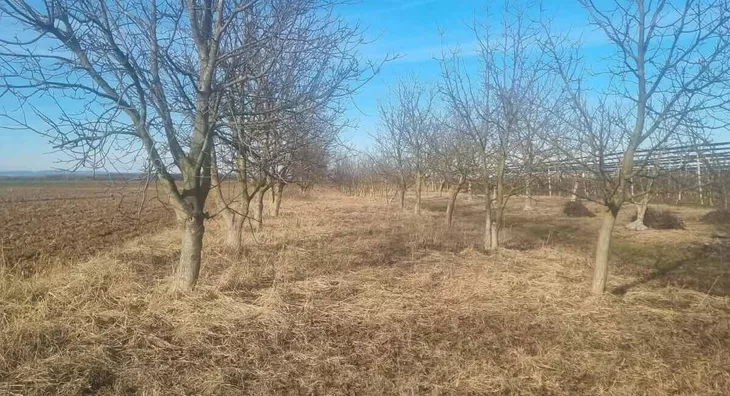 Poljoprivredno zemljište | 4zida