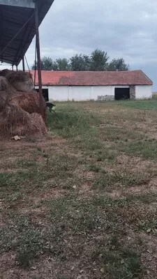 Opština Zrenjanin, Melenci | 4zida.rs