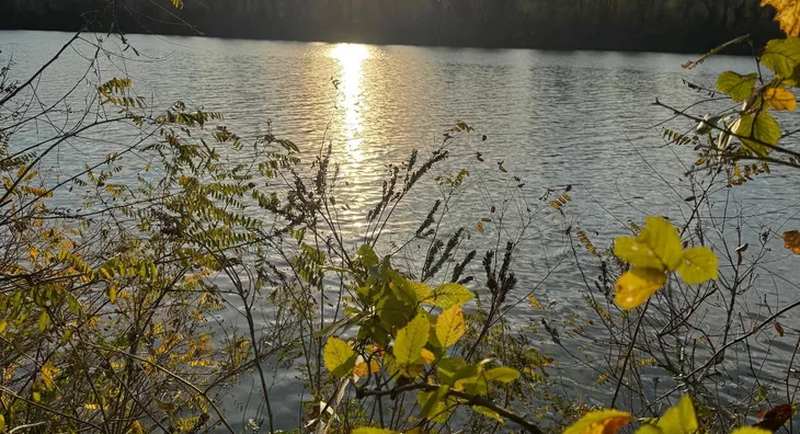 Poljoprivredno zemljište | 4zida