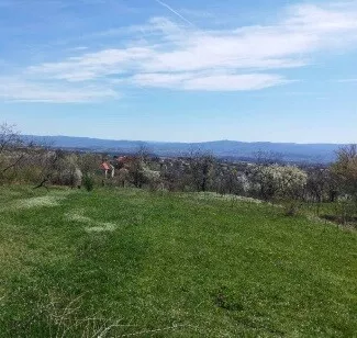 Drača | 4zida.rs