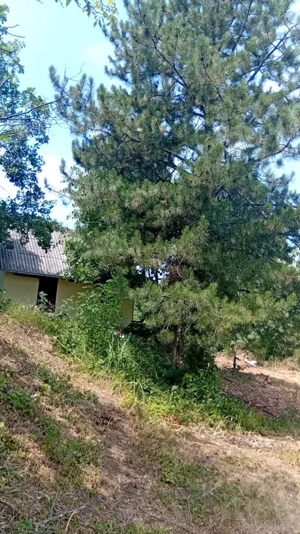 Mala | 4zida.rs