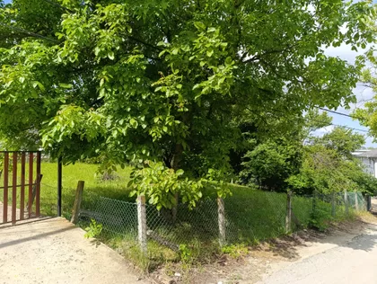 Stepojevačka 21 | 4zida.rs