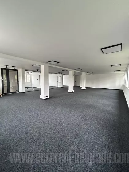 HALA PIONIR | 4zida.rs