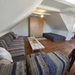 Novi Sad, Gradske lokacije, Veternik | 4zida.rs | 4zida.rs