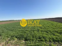 Nova Pazova, Okolne lokacije, Stara Pazova | 4zida.rs