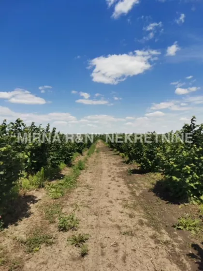 Kljajićevo | 4zida.rs