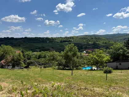 Sremska Kamenica | 4zida.rs