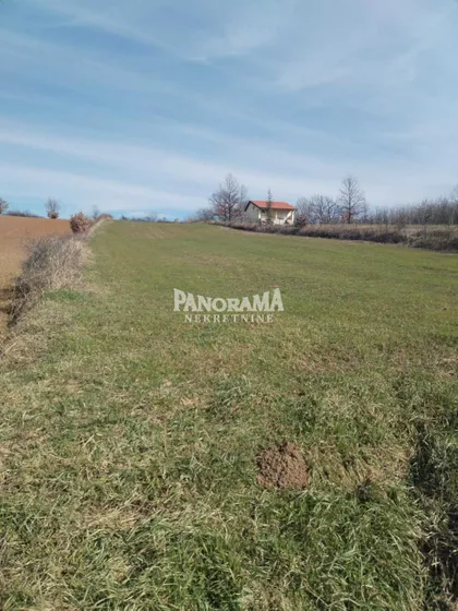 Timočki put | 4zida.rs