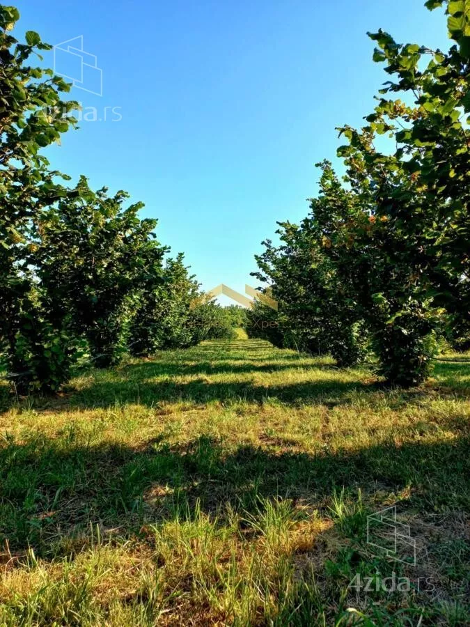 Poljoprivredno zemljište | 4zida