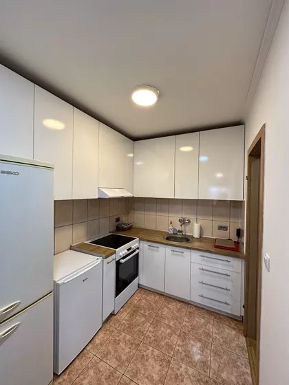 Dr Svetislava Kasapinovića | 4zida.rs