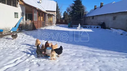 Gradske lokacije | 4zida.rs