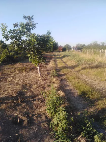 Batajnički Vinogradi | 4zida.rs