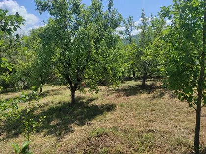 Rodoljuba Čolakovića BB | 4zida.rs