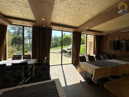 Česte bukve | 4zida.rs