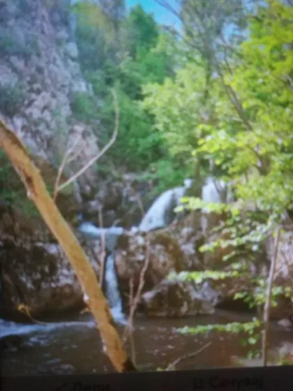 Karakondža | 4zida.rs