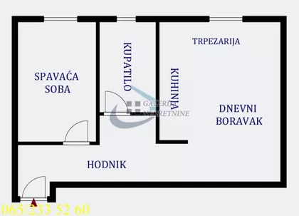 Roze Luksemburg | 4zida.rs