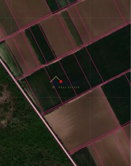 Batajnica | 4zida.rs