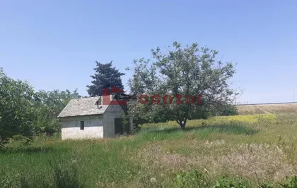 Hajdukovo | 4zida.rs
