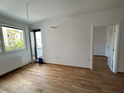 Kiš Ernea 36 | 4zida.rs
