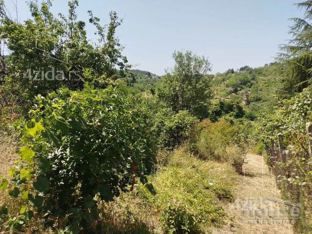 Plac | 4zida