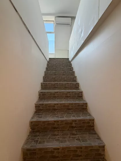 Jovana Subotića | 4zida.rs