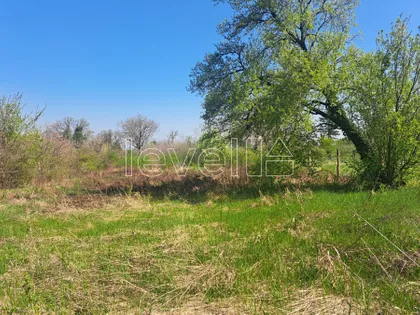 Čortanovci | 4zida.rs