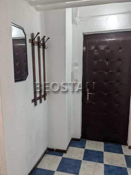 Dr Ivana Ribara | 4zida.rs