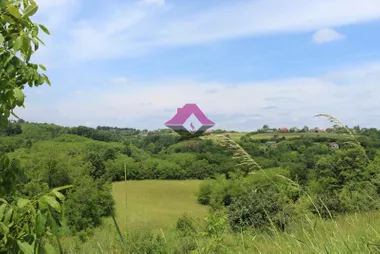 Ustanička