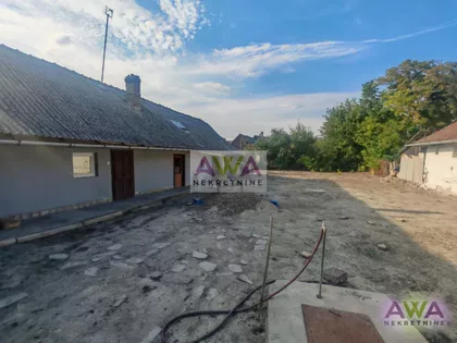 Kupusina | 4zida.rs
