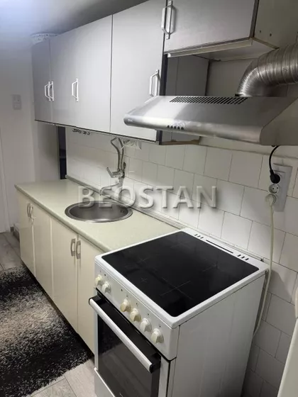 Mice Orlovica | 4zida.rs