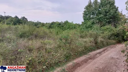 Izvorska | 4zida.rs