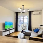 Novi Sad, Gradske lokacije, Telep, Bulevar Patrijarha Pavla (Somborski Bulevar) | 4zida.rs | 4zida.rs