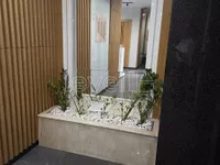 Novi Sad - Centar, Stari Grad, Gradske lokacije, Novi Sad | 4zida.rs