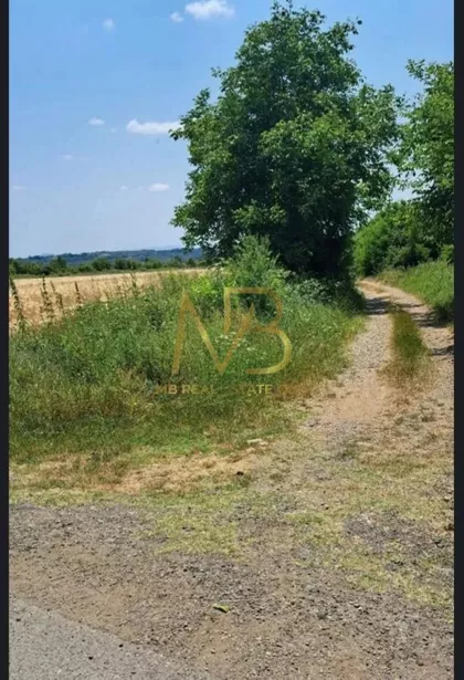 Kusanja | 4zida.rs