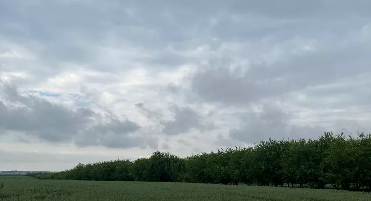Poljoprivredno zemljište | 4zida