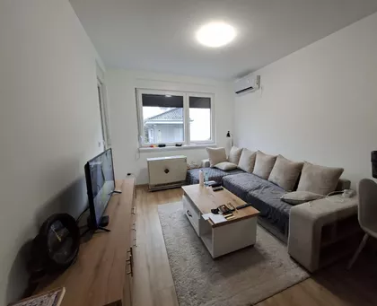 Nemanjina | 4zida.rs