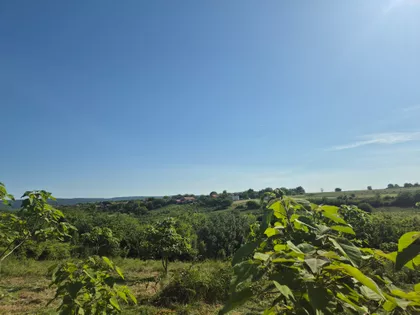 Slobodana Bajića | 4zida.rs