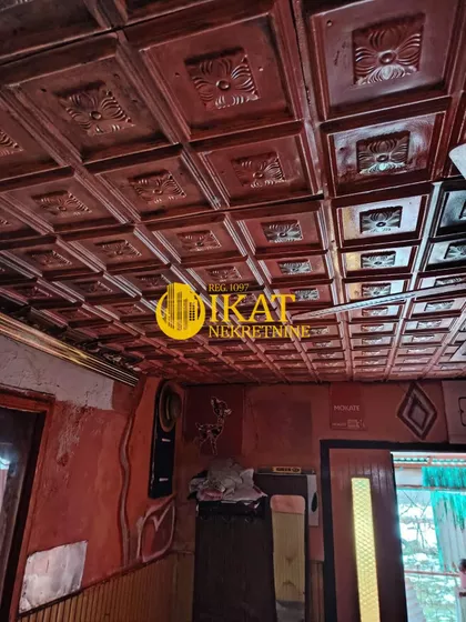 Arsenija Čarnojevića | 4zida.rs