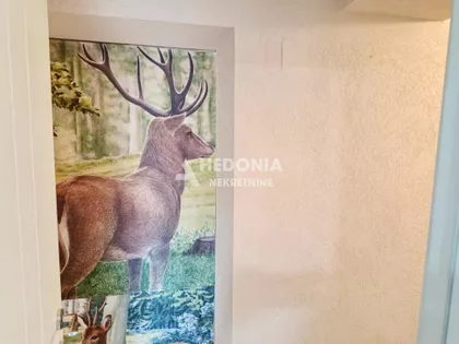 Svetosavska | 4zida.rs