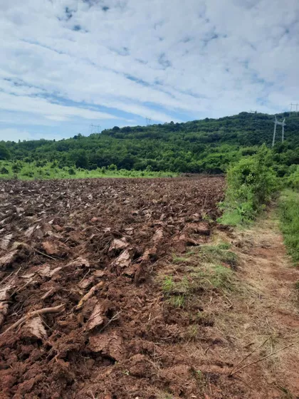 Nikola Tesla | 4zida.rs