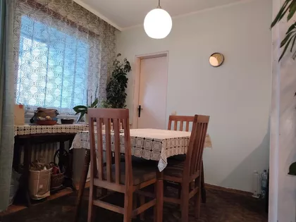 Dr Ivana Ribara | 4zida.rs