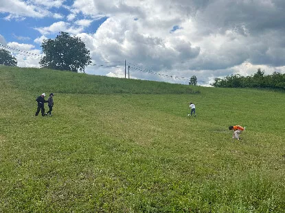 Dvadesetdevetog Novembra | 4zida.rs