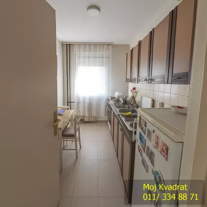 Dr Ivana Ribara | 4zida.rs