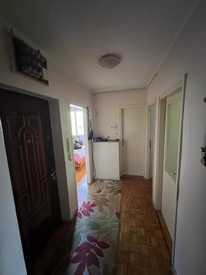 Siniše Stankovića | 4zida.rs