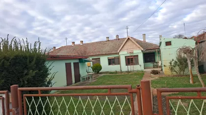 Vereb Zoltana | 4zida.rs