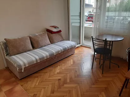 Dr Svetislava Kasapinovića | 4zida.rs