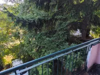 Beograd, Zvezdara opština, Lion | 4zida.rs | 4zida.rs