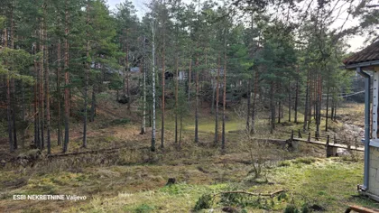 Boke Lome | 4zida.rs